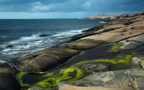 Båtsportkort Delius Klasing 2022